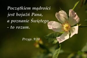 Mądrość praktyczna