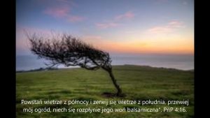 Owoce,które wydajesz