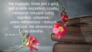 „Miłosierdzie” II