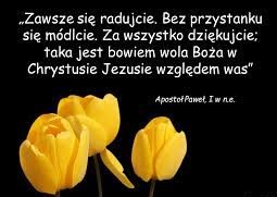 Źródło radości