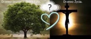 Drzewo poznania dobra i zła