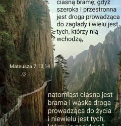 Nasze decyzje